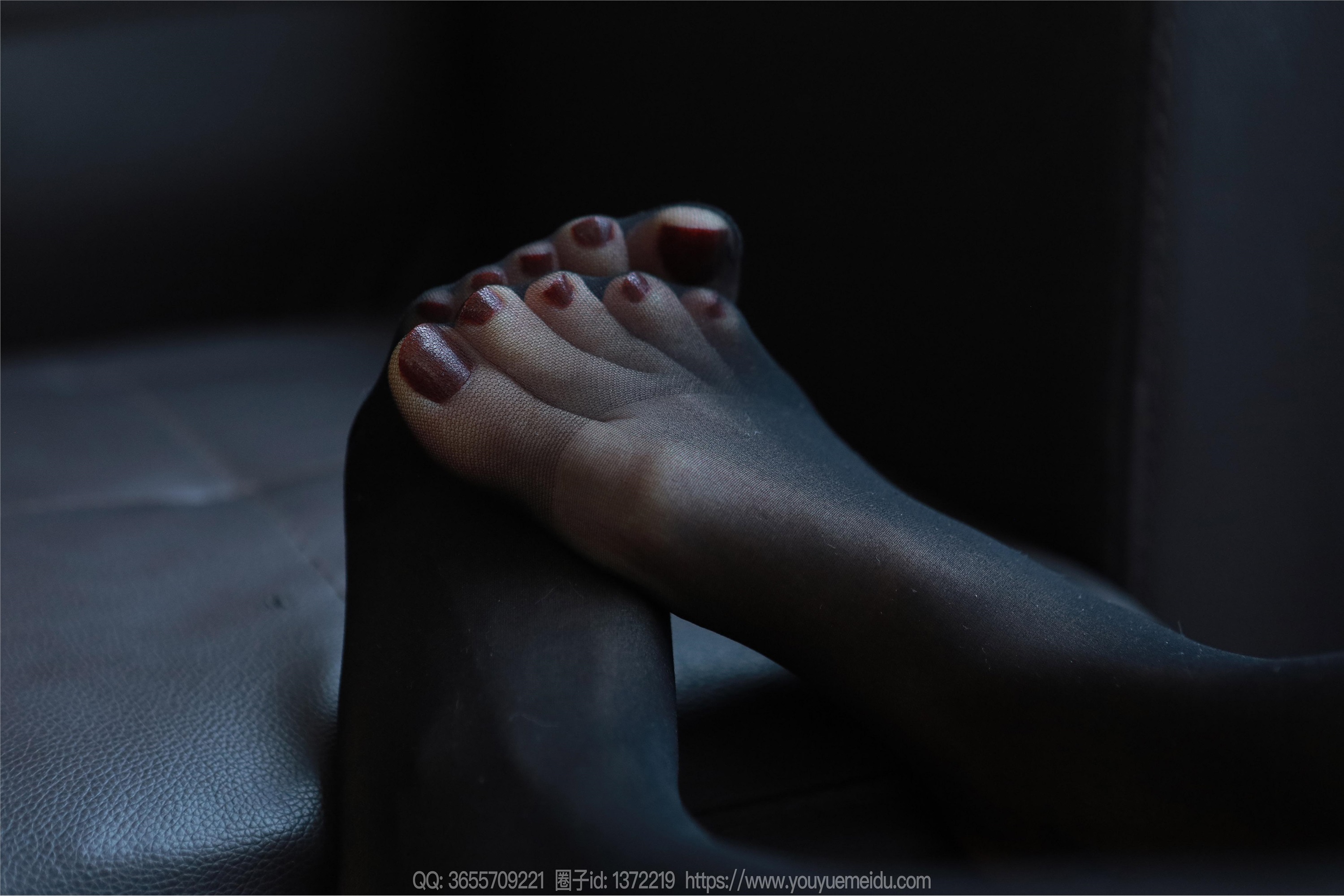 IESS异思趣向  2023.12.20 丝享家 1616 团团《乌黑红润》